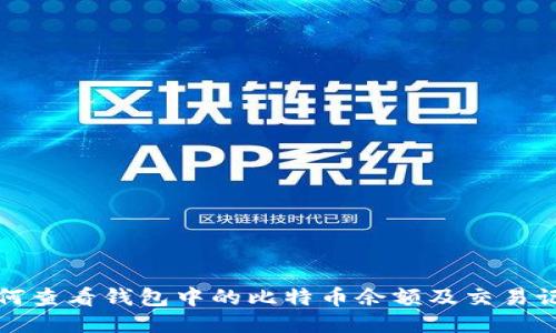 如何查看钱包中的比特币余额及交易记录