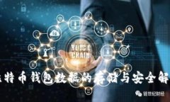 比特币钱包数据的存储与