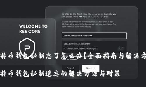 比特币钱包秘钥忘了怎么办？全面指南与解决方案

比特币钱包秘钥遗忘的解决方法与对策