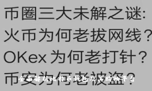 全面解析比特币钱包及其购物平台