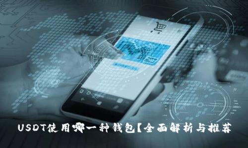 USDT使用哪一种钱包？全面解析与推荐