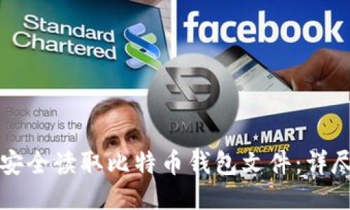 如何安全读取比特币钱包文件：详尽指南