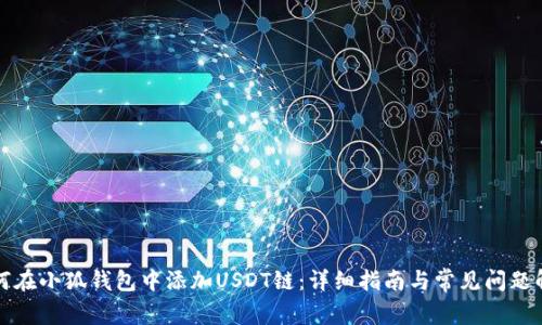 如何在小狐钱包中添加USDT链：详细指南与常见问题解答