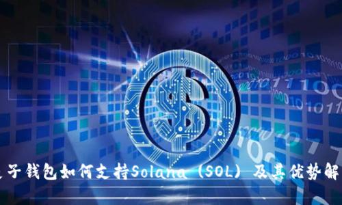 麦子钱包如何支持Solana (SOL) 及其优势解析