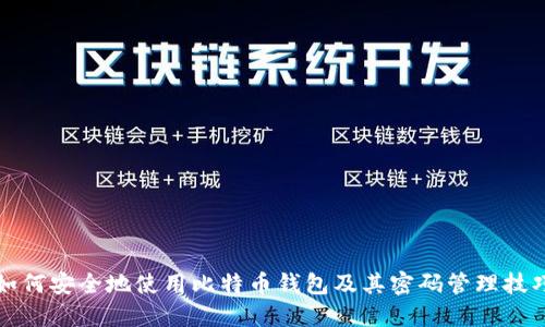 如何安全地使用比特币钱包及其密码管理技巧
