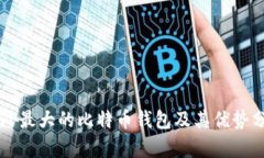 国外最大的比特币钱包及