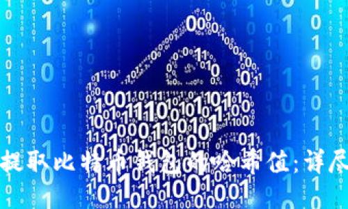 如何提取比特币钱包的哈希值：详尽指南