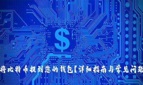 如何将比特币提到您的钱包？详细指南与常见问题解答