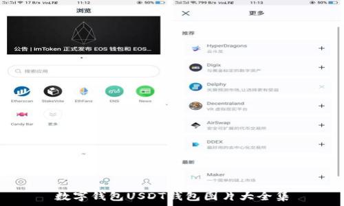   
数字钱包USDT钱包图片大全集